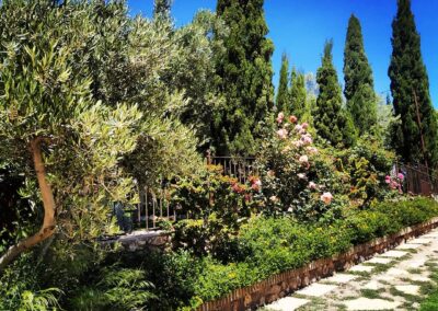 Finca Lomamour 1 (15)