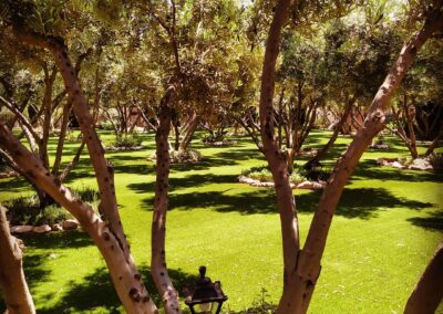Finca Lomamour 1 (16)