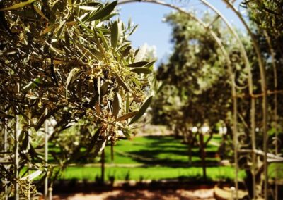 Finca Lomamour 1 (18)