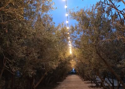 Finca Lomamour 1 (43)