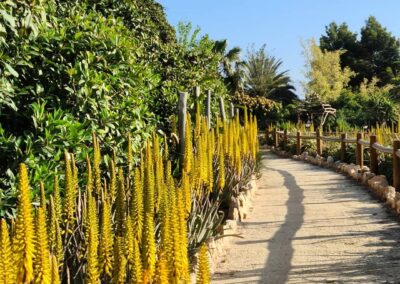 Finca Lomamour 1 (5)