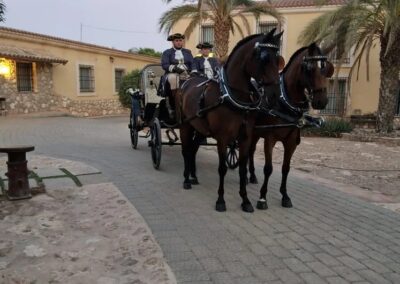 Finca Lomamour 1 (78)