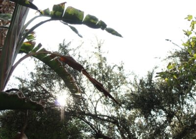 finca lomamour alameda 1 almeria