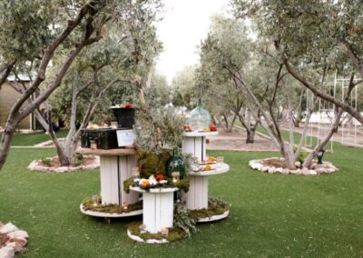 finca lomamour olivar 4 almeria