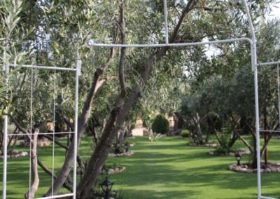 finca lomamour olivar 5 almeria
