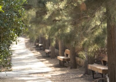 paseo casuarinas finca lomamour almeria
